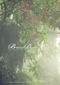 Xapis 2013 Spring Summer Collection